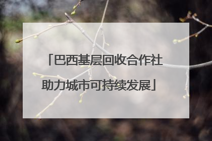 巴西基层回收合作社助力城市可持续发展