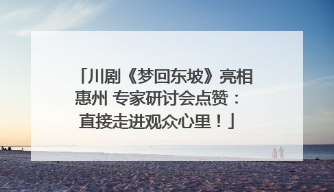 川剧《梦回东坡》亮相惠州 专家研讨会点赞：直接走进观众心里！