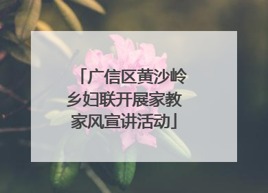 广信区黄沙岭乡妇联开展家教家风宣讲活动