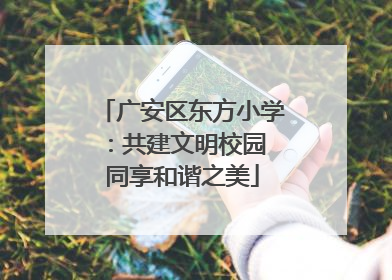 广安区东方小学：共建文明校园 同享和谐之美