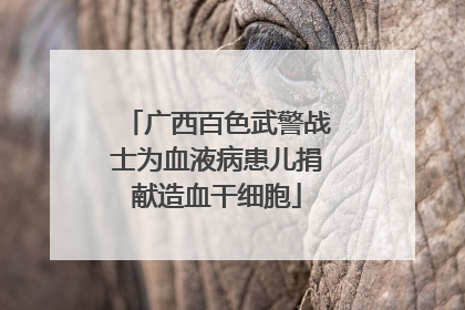 广西百色武警战士为血液病患儿捐献造血干细胞