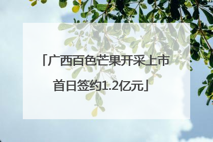广西百色芒果开采上市 首日签约1.2亿元