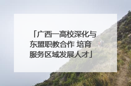 广西一高校深化与东盟职教合作 培育服务区域发展人才