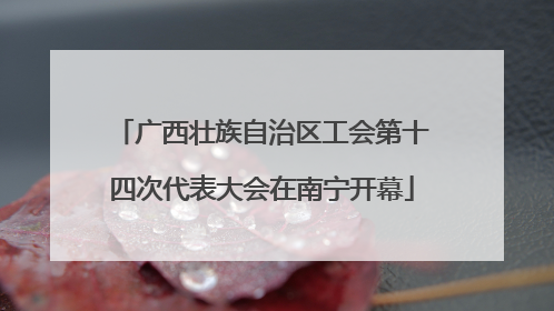 广西壮族自治区工会第十四次代表大会在南宁开幕
