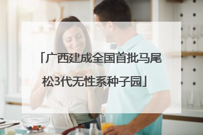 广西建成全国首批马尾松3代无性系种子园