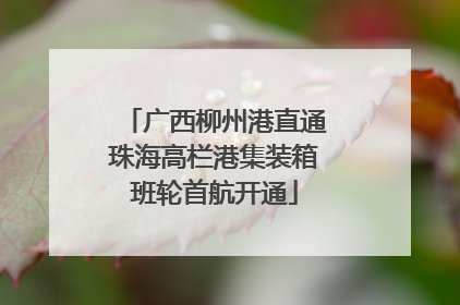 广西柳州港直通珠海高栏港集装箱班轮首航开通