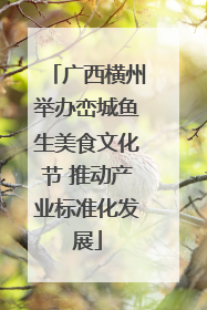 广西横州举办峦城鱼生美食文化节 推动产业标准化发展