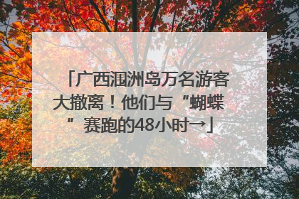 广西涠洲岛万名游客大撤离！他们与“蝴蝶”赛跑的48小时→