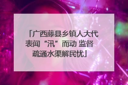 广西藤县乡镇人大代表闻“汛”而动 监督疏通水渠解民忧