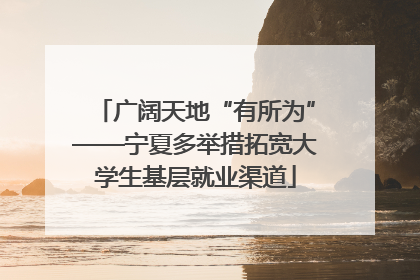 广阔天地“有所为”——宁夏多举措拓宽大学生基层就业渠道