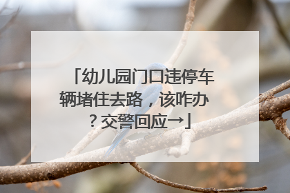 幼儿园门口违停车辆堵住去路，该咋办？交警回应→