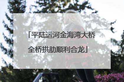 平陆运河金海湾大桥全桥拱肋顺利合龙