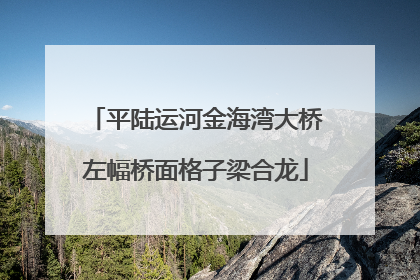 平陆运河金海湾大桥左幅桥面格子梁合龙