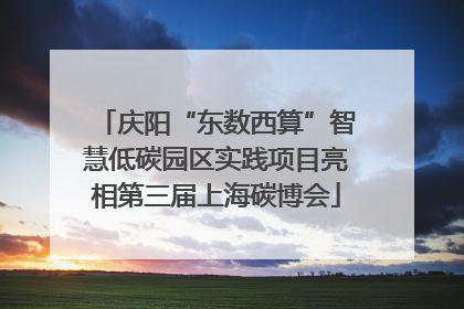 庆阳“东数西算”智慧低碳园区实践项目亮相第三届上海碳博会