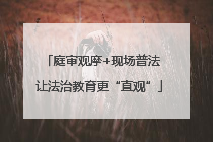 庭审观摩+现场普法 让法治教育更“直观”