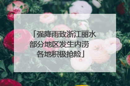 强降雨致浙江丽水部分地区发生内涝 各地积极抢险