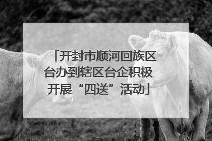 开封市顺河回族区台办到辖区台企积极开展“四送”活动