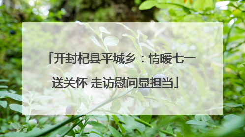 开封杞县平城乡：情暖七一送关怀 走访慰问显担当