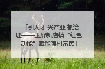 引人才 兴产业 抓治理——玉屏新店镇“红色动能”赋能强村富民