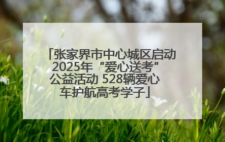 张家界市中心城区启动2025年“爱心送考”公益活动 528辆爱心车护航高考学子
