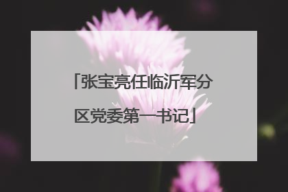 张宝亮任临沂军分区党委第一书记