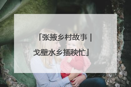 张掖乡村故事｜戈壁水乡插秧忙