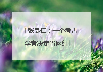 张良仁：一个考古学者决定当网红