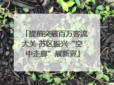 提前突破百万客流大关 苏区振兴“空中走廊”展新翼