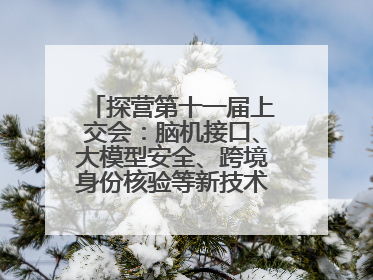探营第十一届上交会：脑机接口、大模型安全、跨境身份核验等新技术将悉数亮相