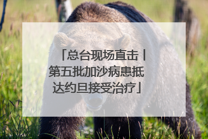 总台现场直击丨第五批加沙病患抵达约旦接受治疗