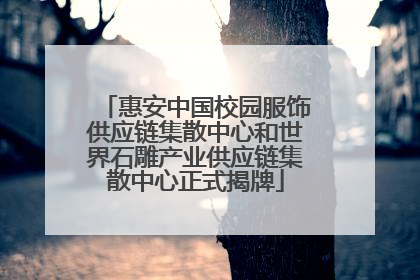 惠安中国校园服饰供应链集散中心和世界石雕产业供应链集散中心正式揭牌