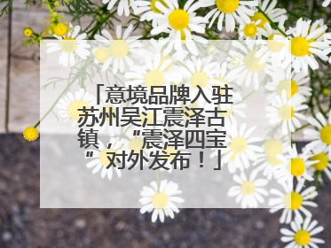 意境品牌入驻苏州吴江震泽古镇，“震泽四宝”对外发布！