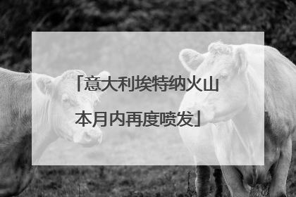 意大利埃特纳火山本月内再度喷发