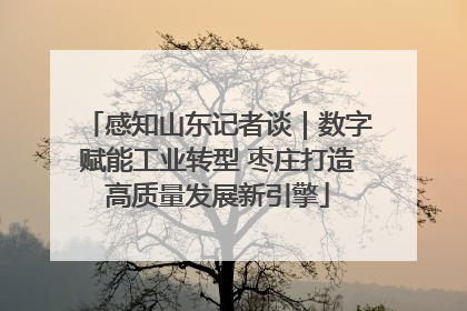 感知山东记者谈｜数字赋能工业转型 枣庄打造高质量发展新引擎