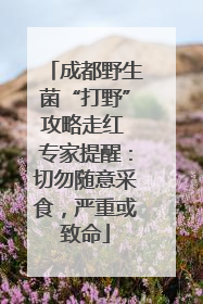 成都野生菌“打野”攻略走红 专家提醒：切勿随意采食，严重或致命