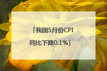 我国5月份CPI同比下降0.1%