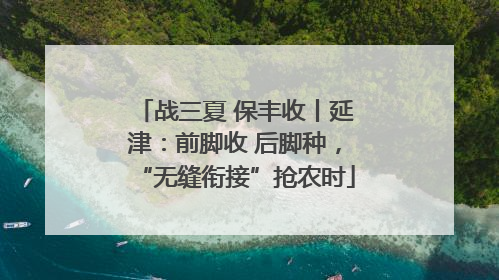 战三夏 保丰收丨延津：前脚收 后脚种，“无缝衔接”抢农时