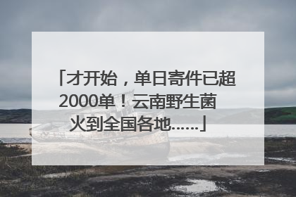 才开始，单日寄件已超2000单！云南野生菌火到全国各地……