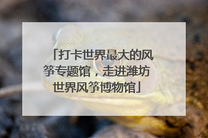 打卡世界最大的风筝专题馆，走进潍坊世界风筝博物馆
