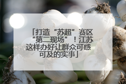打造“苏超”赛区“第二现场”！江苏这样办好让群众可感可及的实事