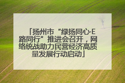 扬州市“绿扬同心·E路同行”推进会召开，网络统战助力民营经济高质量发展行动启动