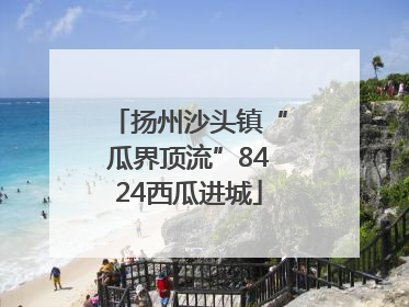 扬州沙头镇“瓜界顶流”8424西瓜进城