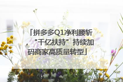 拼多多Q1净利腰斩，“千亿扶持”持续加码商家高质量转型