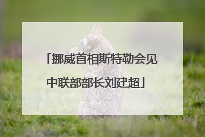 挪威首相斯特勒会见中联部部长刘建超