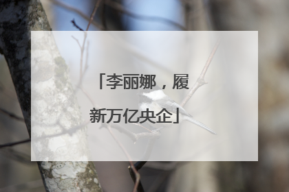 李丽娜，履新万亿央企