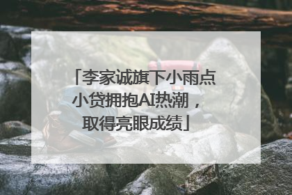 李家诚旗下小雨点小贷拥抱AI热潮，取得亮眼成绩