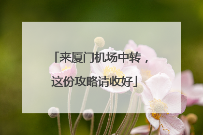 来厦门机场中转，这份攻略请收好