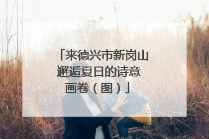 来德兴市新岗山 邂逅夏日的诗意画卷（图）
