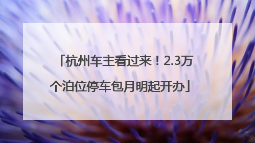 杭州车主看过来！2.3万个泊位停车包月明起开办