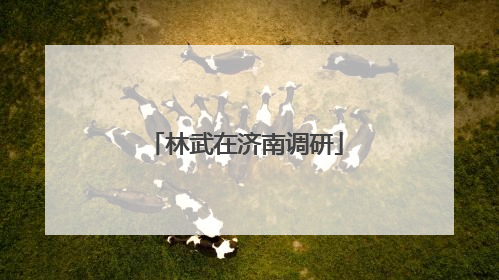 林武在济南调研